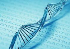 Генетика: основные термины и понятия Формы синдрома Дауна