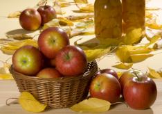 Что можно сделать из яблок: советы кулинаров