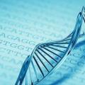 Генетика: основні терміни та поняття Форми синдрому Дауна
