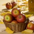 Що можна зробити з яблук: поради кулінарів
