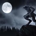 Do werewolves exist - historical and scientific facts