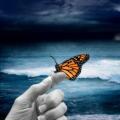 Butterfly effect - what does it mean?